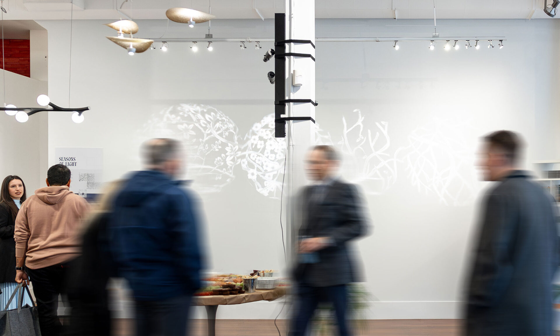 Photo from Lumorphéa at The Gallery George in Vancouver showing the “Seasons of Light” installation, with Pacific Dogwood artwork projected onto the gallery wall using gobo projection lighting.